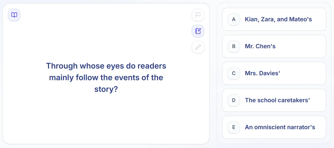 English comprehension question about whose eyes the story is told through